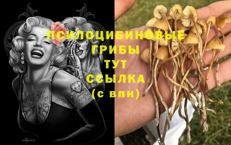 Галлюциногенные грибы GOLDEN TEACHER  Лабытнанги 